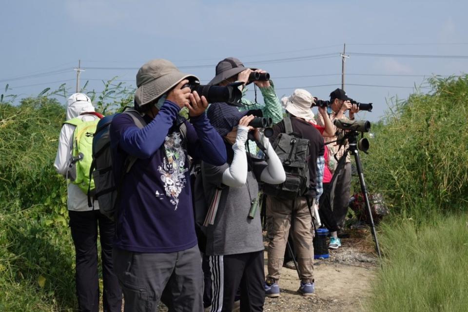 嘉義布袋鹽田濕地是愛鳥人士的賞鳥勝地。（記者張翔翻攝）