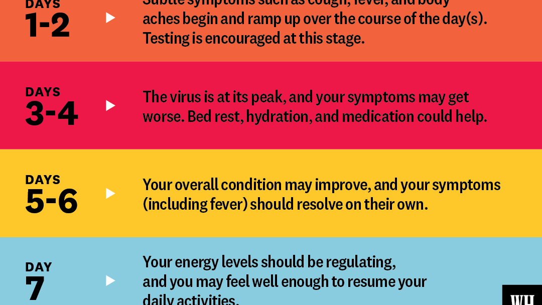 stages of the flu chart