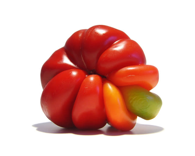 The Mutato-Project showcases alternate forms, textures and colors that remain hidden from the public due to marketing standards and optical trade norms. Capsicum annuum - common bell pepper. (Photo: Uli Westphal)