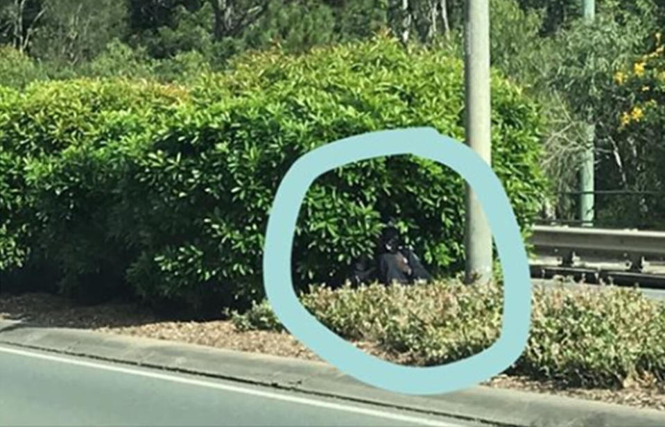 A Queensland police officer appears to be hiding in bushes on a Brisbane road. Source: Facebook
