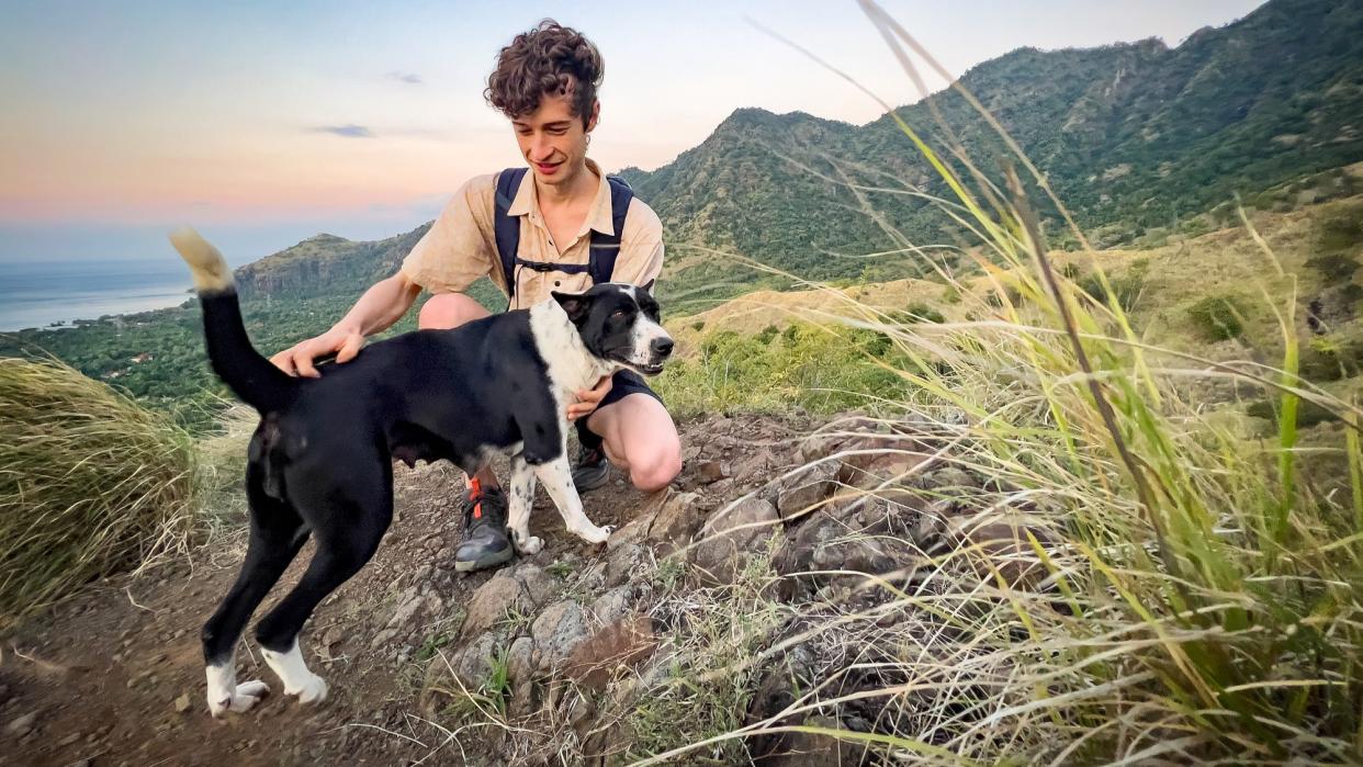  Dog on a hike with their owner. 