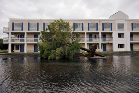 A fallen tree and flood waters sit in a hotel parking lot after Hurricane Dorian swept through, in Wilmington, North Carolina