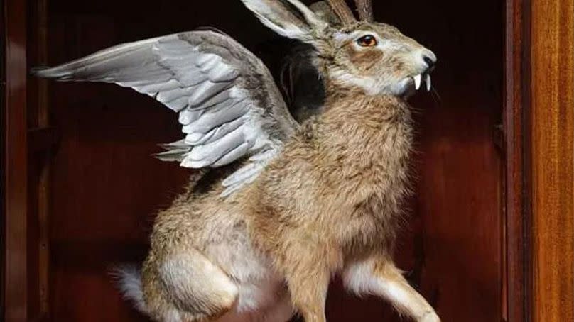 Ein aus ausgestopften Tierkörperteilen zusammengesetzter Wolpertinger