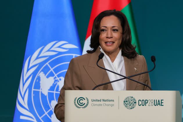 U.S. Vice President Kamala Harris appears onstage to speak during a session at a United Nations summit in Dubai, United Arab Emirates, on Dec. 2, 2023.
