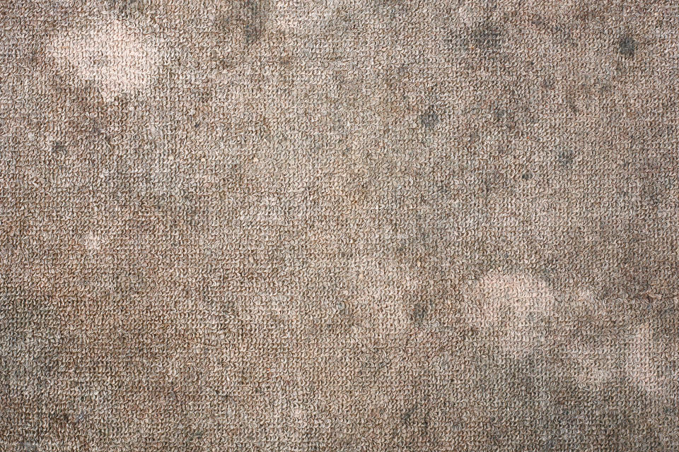 dirty carpet