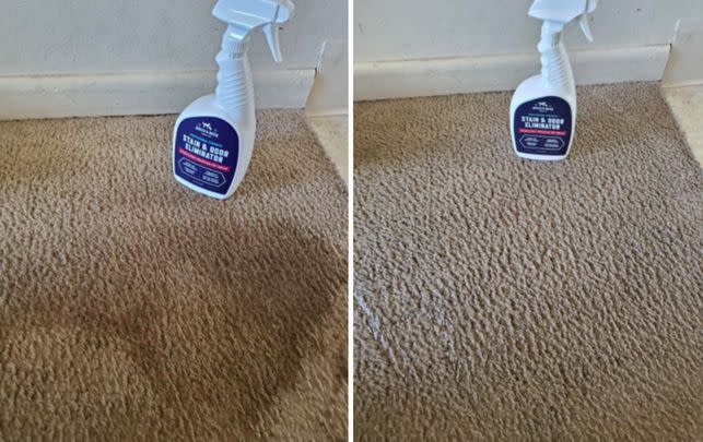 A stain and odor remover because those messes and unpleasant smells left behind by your fur babies are no match for its cleaning powers