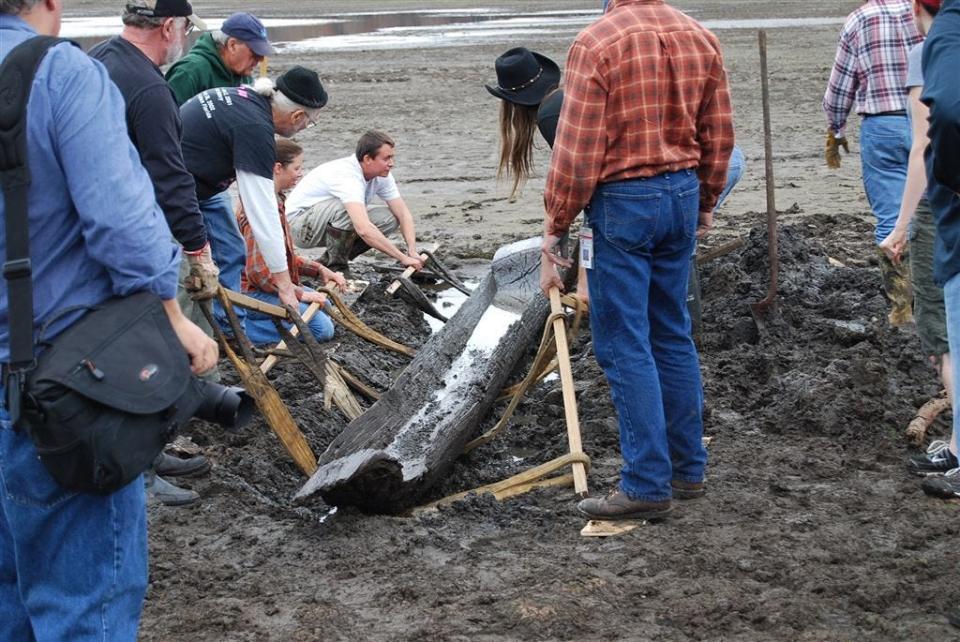 State archaeologists and volunteers removed an ancient Indian dugout canoe from Lake Munson on Nov. 29, 2010. The canoe was exposed during a drawdown of the lake. Florida has uncovered more Indian canoes than any state, with some dating back 5,000 years.