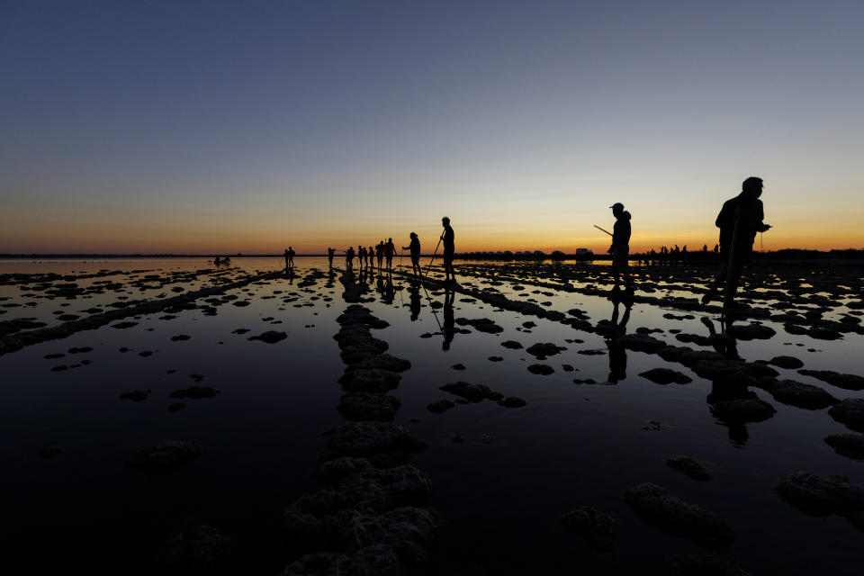 In this Wednesday, Aug. 5, 2020 photo provided by Salins de Camargue, flamingo experts walk in the waters, in Aigues-Mortes, the Camargue region, southern France, to gather and put bands on baby birds so scientists can track their migration. The numbers of pink flamingos may be the highest since experts began keeping records 45 years ago, said Thierry Marmol, guardian of the lands. France's two months of strict confinement may well be the reason. (Fabrice Pavanello, Salins de Camargue via AP)