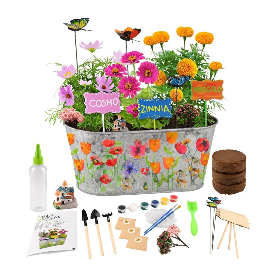 Paint & Plant Flower Growing Kit for Kids