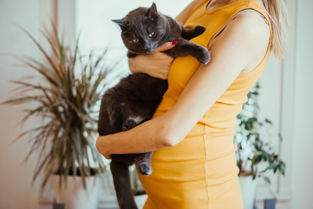 Toxoplasmose Et Grossesse Symptômes Aliments Interdits Conseils 