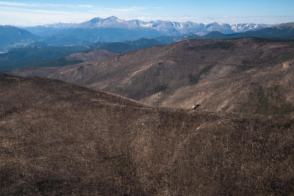 Arapaho and Roosevelt National Forests lands are completely singed in the Cameron Peak fire burn area in Northern Colorado on Aug. 11, 2023.