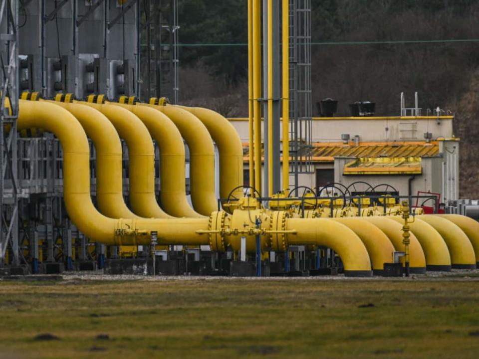 Tubes at a compressor station on the Yamal–Europe pipeline in Wloclawek, Poland. The 4,107-kilometre pipeline carries gas from the Yamal Peninsula in northern Russia to Poland and Germany, through Belarus. It is part of a vast pipeline system that supplies 45 per cent of the gas that the European Union imports. (Omar Marques/Getty Images - image credit)