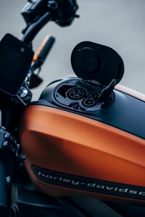 La nueva motocicleta eléctrica de Harley-Davidson, LiveWire, se muestra en esta foto publicada por Harley-Davidson. Harley-Davidson Motor