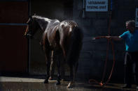 A horse is sprayed with water to cool down after racing at Down Royal Racecourse, in Lisburn, Northern Ireland, May 1, 2017 REUTERS/Clodagh Kilcoyne