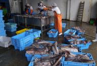 Workers clean freshly caught squid in Pucusana, Peru, Monday, Sept. 20, 2021. To compete with the Chinese, the local fishermen of Pucusana assume ever-greater risks, venturing farther out from home and spending as much as a week at sea to haul in what they used to catch in a single day close to shore. (AP Photo/Martin Mejia)