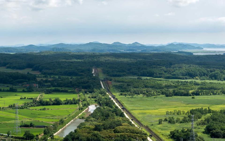 <p>Between North Korea and South Korea is a buffer, known as the Korean Demilitarized Zone. More than half a century after its creation in 1953, this 2.5 mile-wide and 155-mile-long stretch has become something of a nature reserve. Both countries have cooperated to protect the rare wildlife that his flourished in this undeveloped corridor. <a rel="nofollow noopener" href="http://www.nbcnews.com/news/asian-america/south-korea-tries-re-brand-dmz-rare-animal-sanctuary-n231641" target="_blank" data-ylk="slk:NBC News reported;elm:context_link;itc:0;sec:content-canvas" class="link ">NBC News reported</a> that endangered cranes and even rare Siberian tigers have emerged here, in addition to roe deer, gorals, and wild boar. </p>