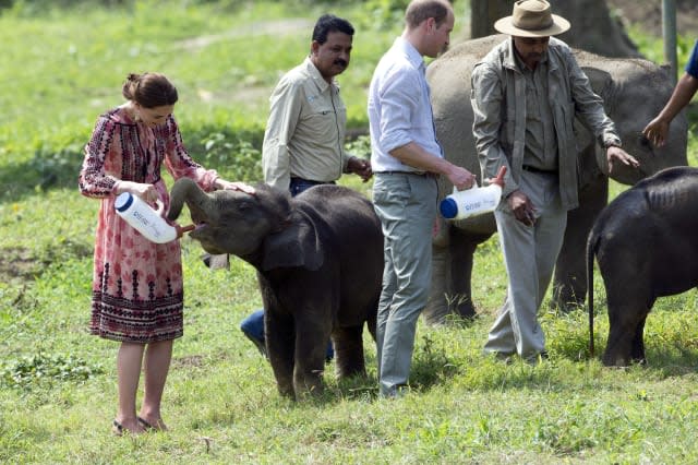 Kate Middleton and Prince William feed baby elephants and rhinos in India