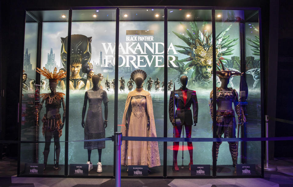 Black Panther costumes in the window of the store