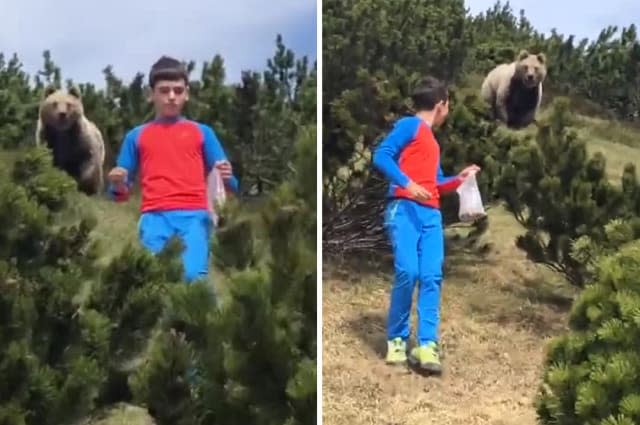 12-year-old keeps calm during close encounter with bear in Italian mountains