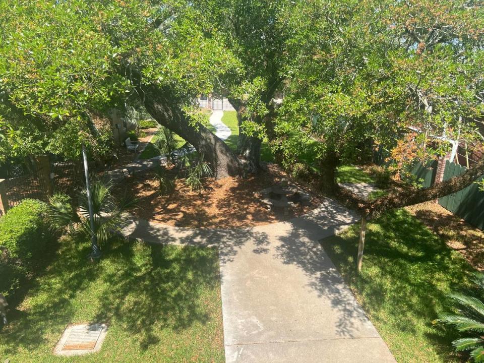 What was a parking lot was filled in to become a courtyard shaded by a massive oak tree at District Flats luxury apartments in downtown Pascagoula.