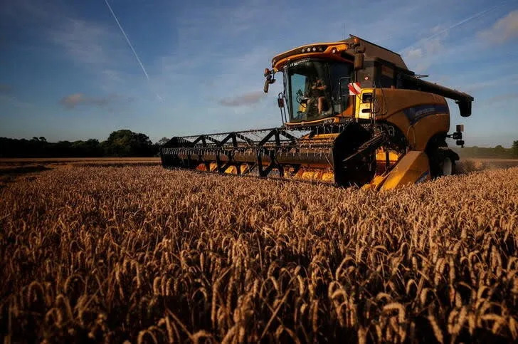 French common wheat harvest likely to fall 5.6% to 33.44m tonnes: Agritel