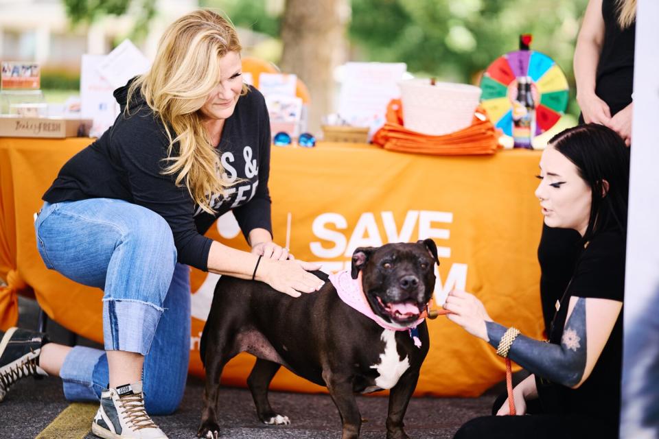 Trisha Yearwood surprise pet food drive