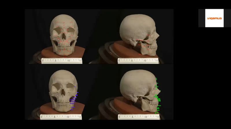 Scientists make 3-D reconstruction of face of Renaissance master Raphael