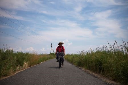 Local resident Wayne Crokett, 72, rides along Factory Road on Tangier Island, Virginia, U.S., August 3, 2017. REUTERS/Adrees Latif