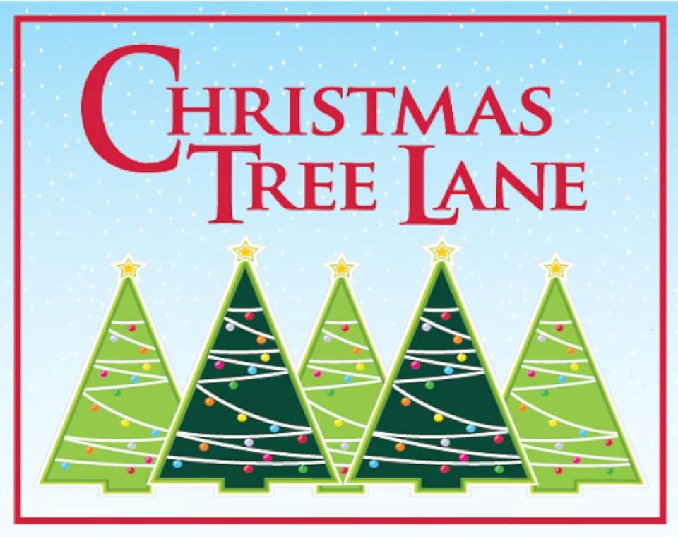 Christmas Tree Lane