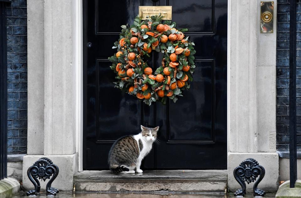 Larry the Number 10 mouser was left out in the rain(Reuters)