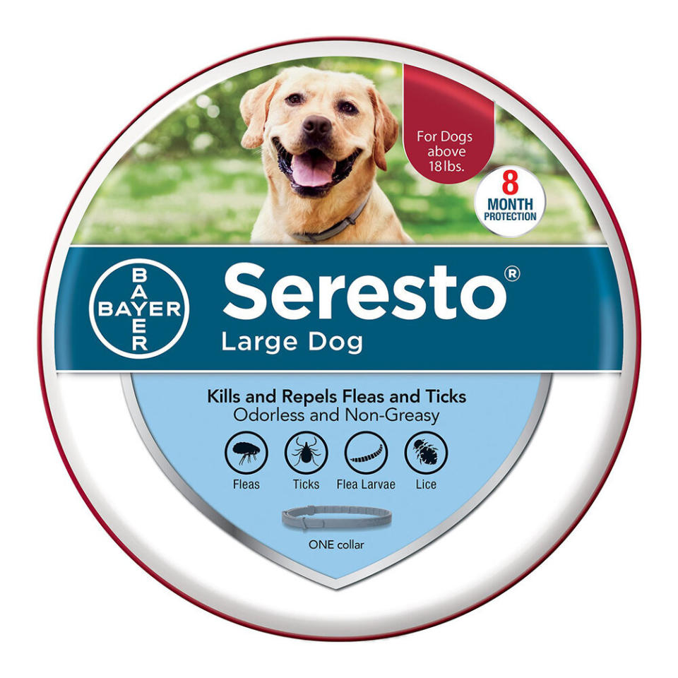 Seresto 8 Month Flea & Tick Prevention Collar for Large Dogs. (Photo: Chewy)