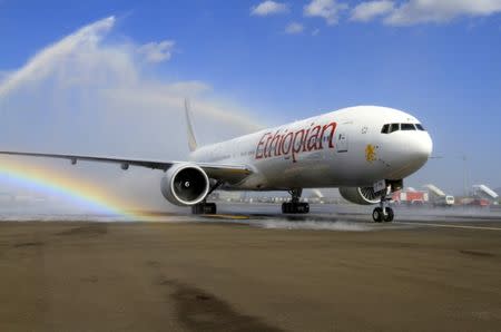 Ethiopian Airlines' newly acquired Boeing 777-300ER aircraft, with a seating capacity of 400 passengers, arrives at the Bole International Airport in Capital Addis Ababa November 8, 2013. REUTERS/Tiksa Negeri/Files