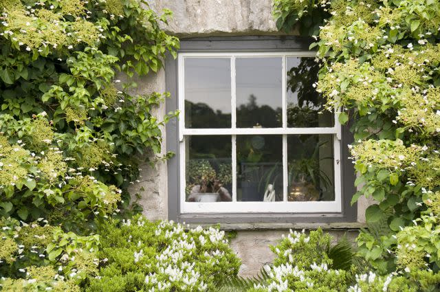 Getty / BrettCharlton Double Hung Sash Window