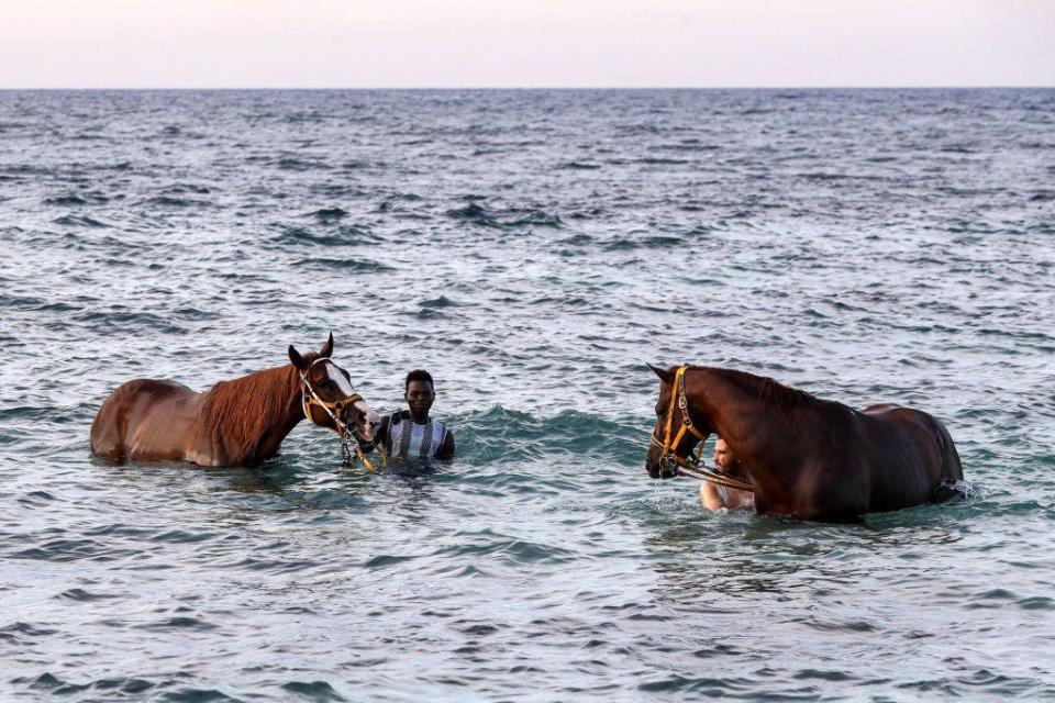 Men bathe two horses in the Mediterranean sea waters off a beach in Libya's western coastal city of Misrata on August 27, 2024. 