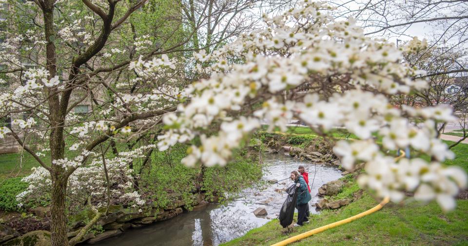 Indiana University students Miak Terek, front, and Ally Davidson, red, pick up debris during the Campus River clean-up on Friday, April 12, 2024.