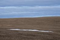 A small patch of snow sits in a dry field near Calgary