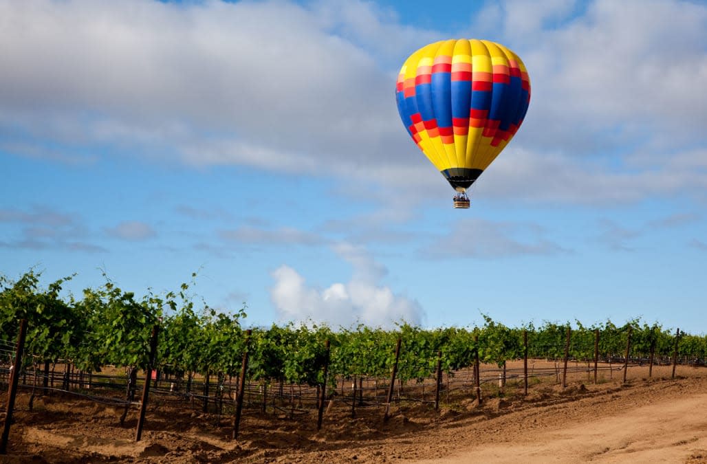 BJ1B7T Hot air balloon floating over grape vineyard