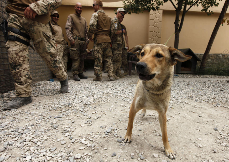German Bundeswehr army soldiers gather behind a dog called Gina in their recreation area inside the German army camp in Toloqan