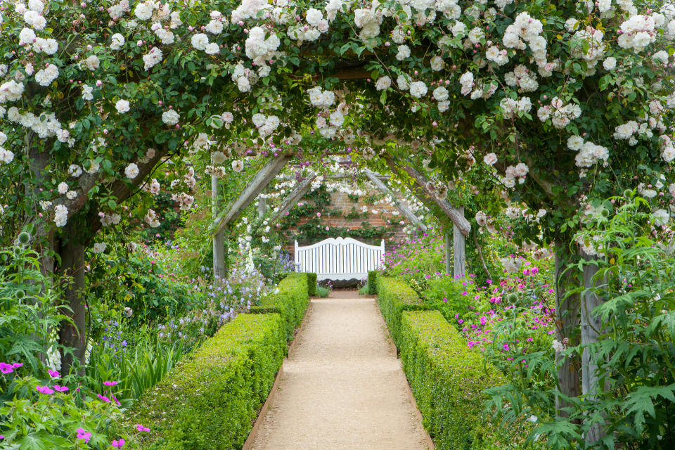 5. Line a path with rose arches