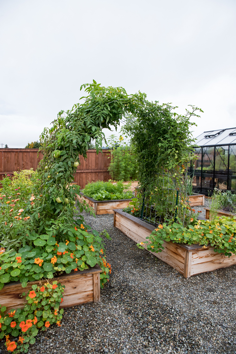 trellis ideas raised bed garden arch trellis