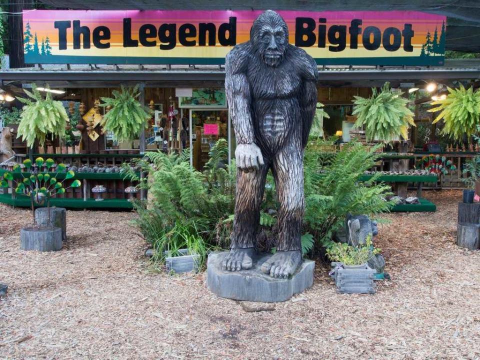 bigfoot store