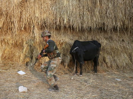 An Indian army soldier moves past a cow during a patrol outside the Indian Air Force (IAF) base at Pathankot in Punjab, India, January 3, 2016. REUTERS/Mukesh Gupta