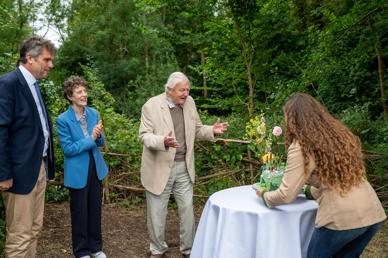 Craig Bennett, Charlotte Lane and Sir David Attenborough react to the wildlife-themed cake. (Broni Lloyd-Edwards/Wildlife Trusts)