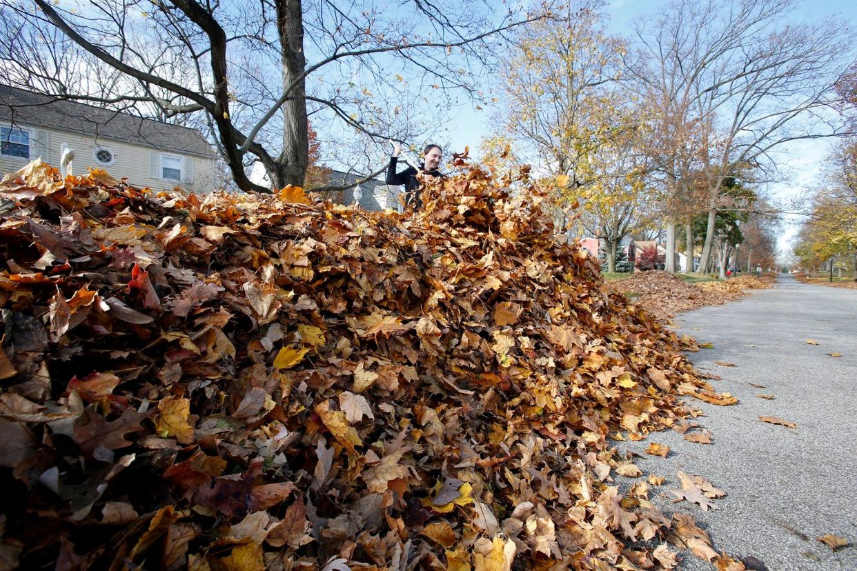 A resident rakes leaves in Akron in this file photo.