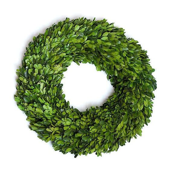 Boxwood Wreath Preserved, 16 Inches