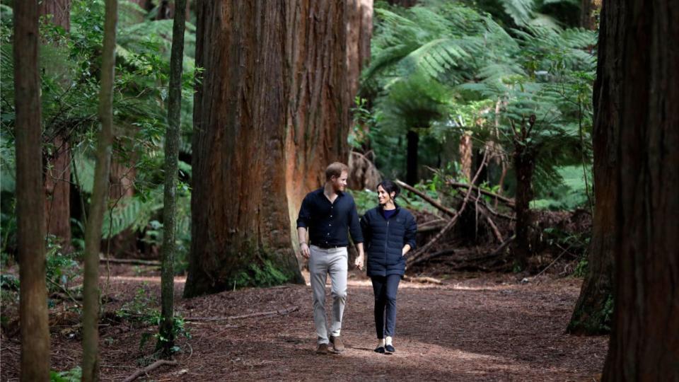 Prince Harry, Duke of Sussex and Meghan, Duchess of Sussex visit Redwoods Tree Walk on October 31, 2018 in Rotorua, New Zealand. The Duke and Duchess of Sussex are on the final day of their official 16-day Autumn tour visiting cities in Australia, Fiji, Tonga and New Zealand. (Photo by Kirsty Wigglesworth - Pool/Getty Images)