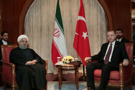 Turkish President Tayyip Erdogan meets with his Iranian counterpart Hassan Rouhani in Sochi, Russia, February 14, 2019. Murat Cetinmuhurdar/Turkish Presidential Press Office/Handout via REUTERS