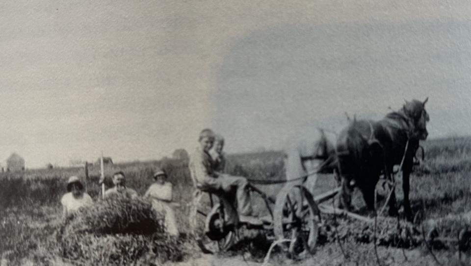 A young Marvin DeWitt working on his relative’s farm in Rudyard, Michigan.