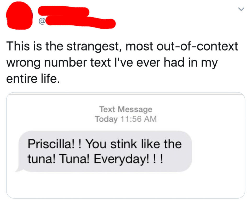 wrong number text reading priscilla you stink like tuna everyday
