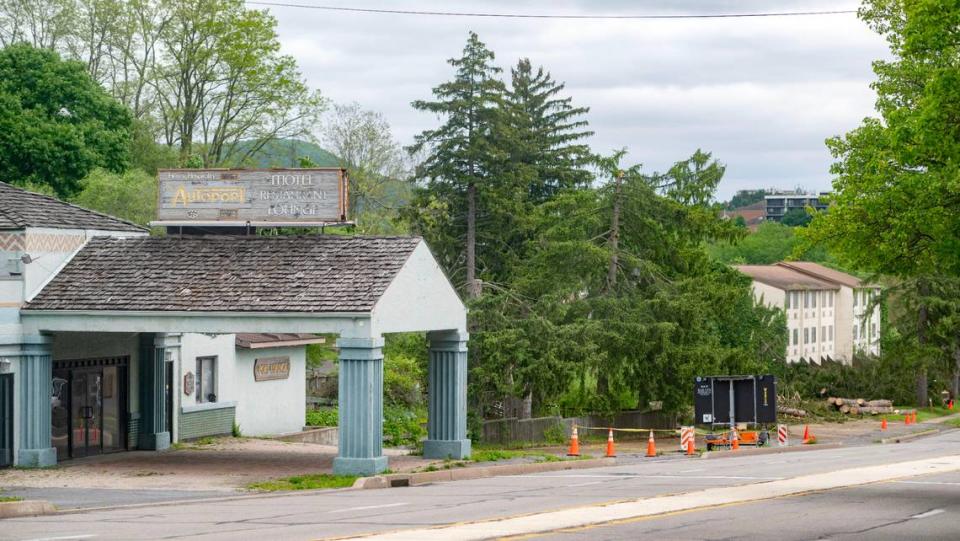 Trees are being cut down on the former Autoport property along South Atherton Street on Friday, May 17, 2024.